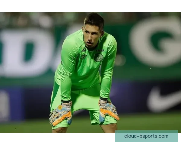 从替补到定海神针达门逆袭坐稳奥格斯堡主力门将位置的励志之路